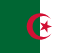 Algeria national football team flag