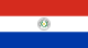 Paraguay national football team flag