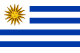 Uruguay national football team flag