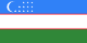 Uzbekistan national football team flag